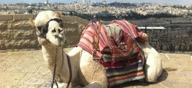 ירושלים של זהב, קלטורה וסיורים מודרכים – המלצות לפעילות בשבתות וחגים