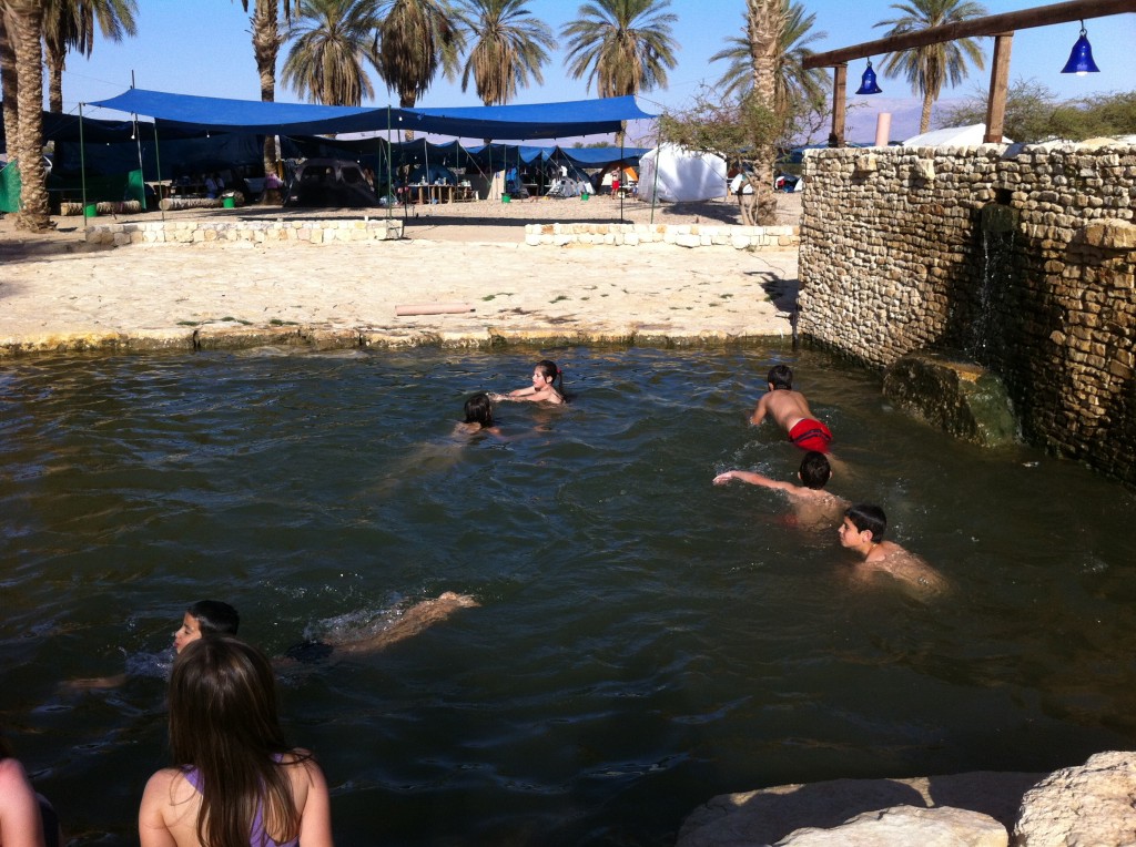 בריכת גופרית חיצונית בחוות האנטילופות