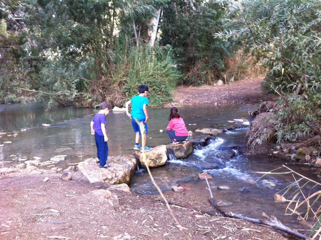 הכי קרוב לבית: מבואות הירקון, מאחורי מועצת דרום השרון