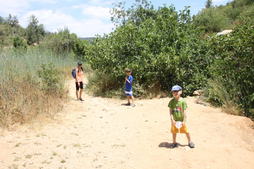 "קח מקל, שתה כוס מים ובוא להרי ירושלים"