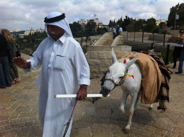 המשיח וחמורו הלבן בתצפית רחבעם זאבי שעל הר הזיתים