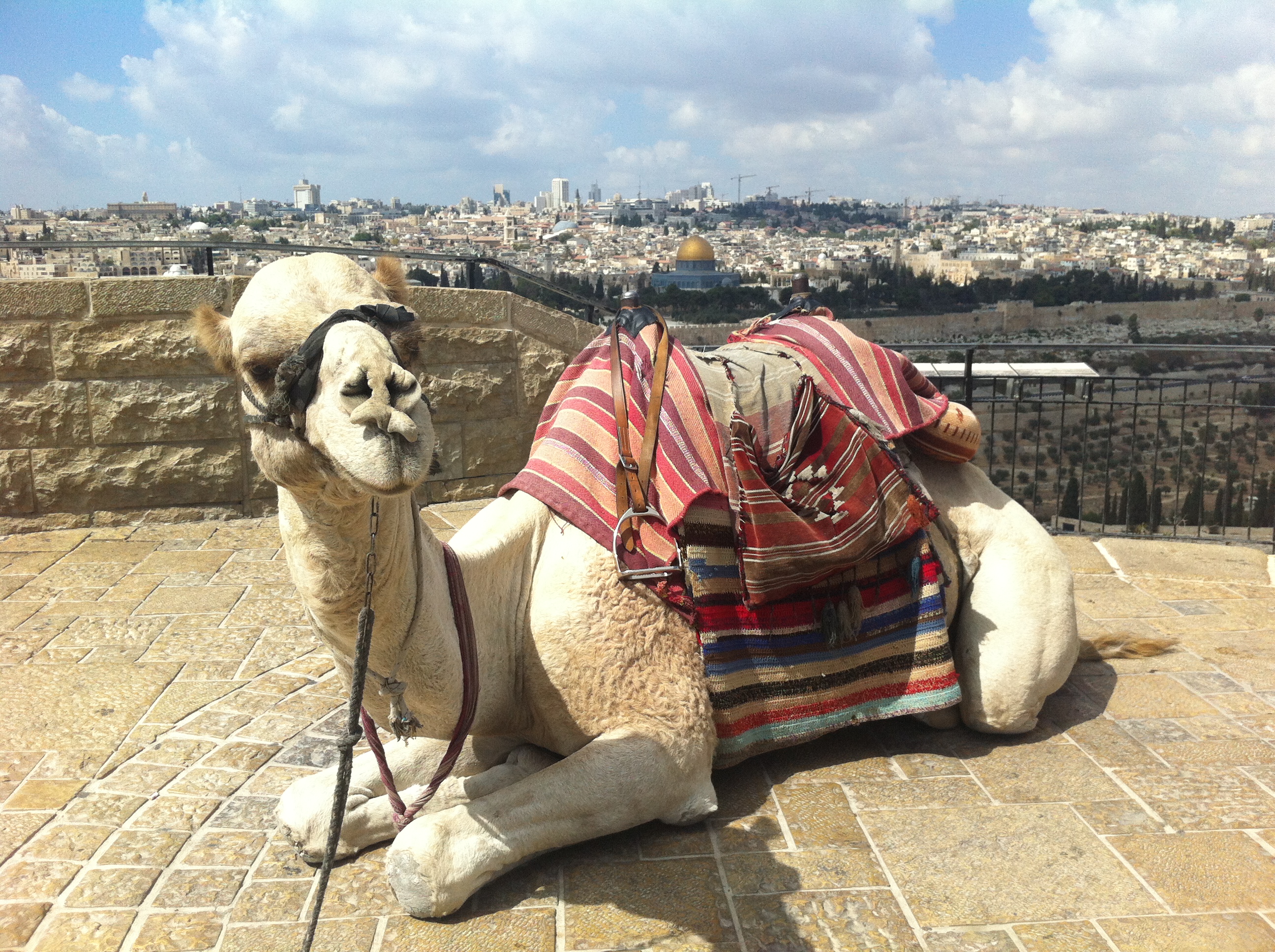 "אוויר הרים צלול כיין" - כיפת הסלע מתצפית רחבעם זאבי