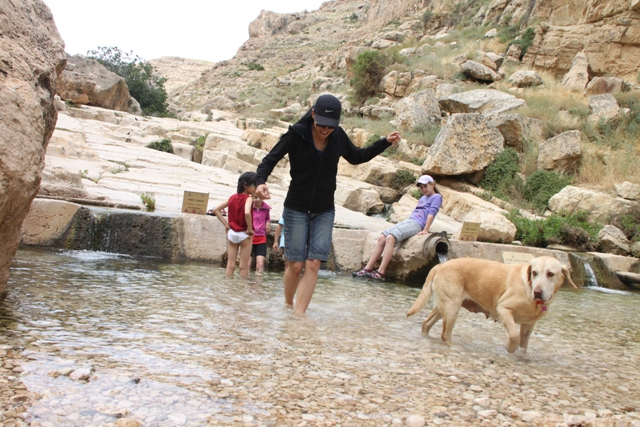 משכשכים רגליים במימי הנחל